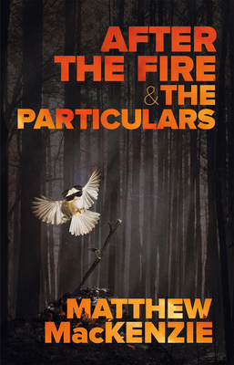 After the Fire & the Particulars By Matthew MacKenzie Cover Image