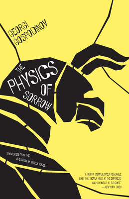 The Physics of Sorrow Cover Image