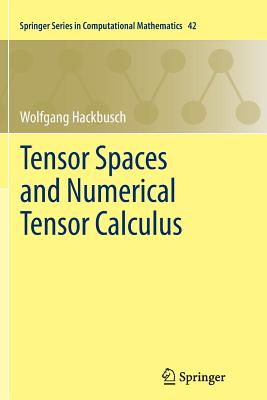 Tensor Spaces and Numerical Tensor Calculus (Springer Computational Mathematics #42)