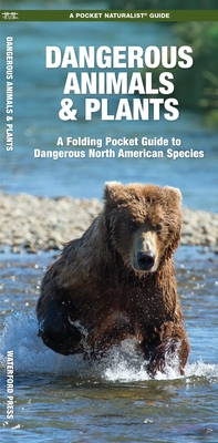 Dangerous Animals & Plants: A Folding Pocket Guide to Dangerous North American Species (Wildlife and Nature Identification)