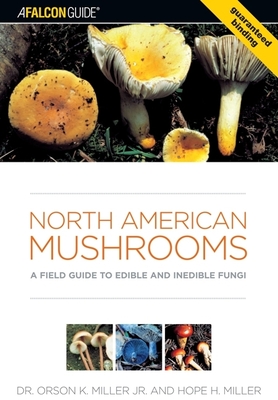 North American Mushrooms: A Field Guide to Edible and Inedible Fungi (Falconguide) By Orson Miller, Hope Miller Cover Image