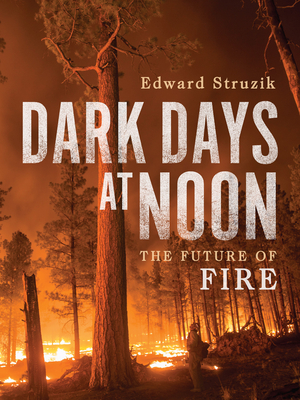 Dark Days at Noon: The Future of Fire By Edward Struzik Cover Image