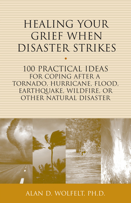 Healing Your Grief When Disaster Strikes: 100 Practical Ideas for Coping After a Tornado, Hurricane, Flood, Earthquake, Wildfire, or Other Natural Disaster (The 100 Ideas Series)