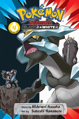 Pokemon Black and Pokemon White Versions Volume 2: The