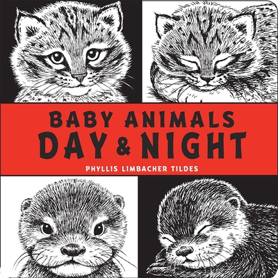 Baby Animals Day & Night By Phyllis Limbacher Tildes, Phyllis Limbacher Tildes (Illustrator) Cover Image