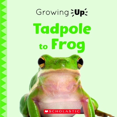 Tadpole to Frog (Growing Up) (Paperback) (Explore the Life Cycle!) Cover Image
