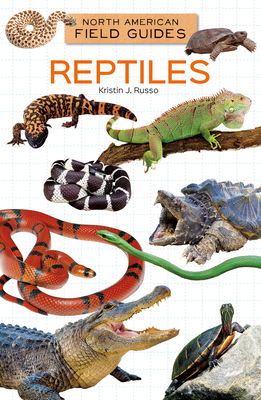 Reptiles (North American Field Guides)