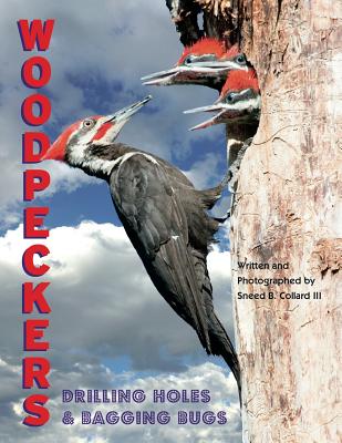 Woodpeckers Cover Image