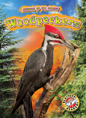 Woodpeckers (Animals of the Forest) By Patrick Perish Cover Image