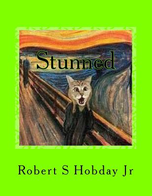 Stunned: A Collection of Stunned Cats By Robert S. Hobday Jr Cover Image