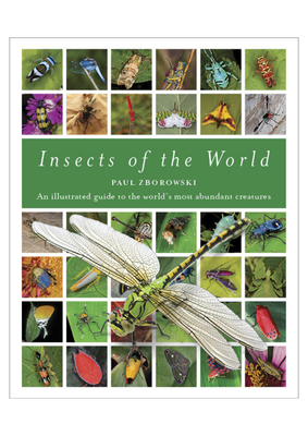 Insects of the World: An Illustrated Guide to the World's Most Abundant Creatures Cover Image
