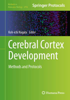 Cerebral Cortex Development: Methods and Protocols (Methods in Molecular Biology #2794)