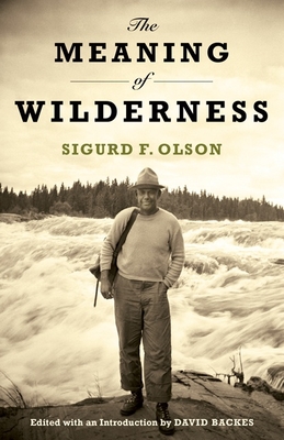 Cover for The Meaning of Wilderness (Fesler-Lampert Minnesota Heritage)