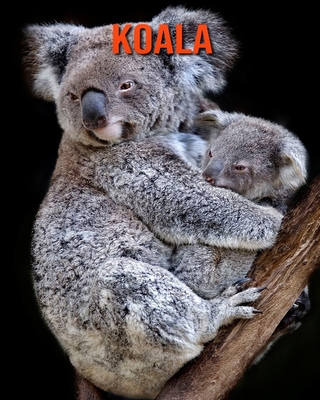 Koala: Amazing Facts about Koala (Paperback) | Murder By The Book