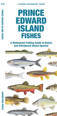 Prince Edward Island Fishes: A Waterproof Folding Guide to Native and Introduced Freshwater Species (Pocket Naturalist Guide) Cover Image