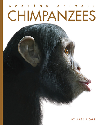 Chimpanzees (Amazing Animals) By Kate Riggs Cover Image