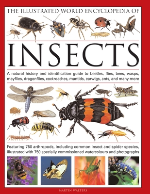 The Illustrated World Encyclopedia of Insects: A Natural History and Identification Guide to Beetles, Flies, Bees, Wasps, Springtails, Mayflies, Stone Cover Image