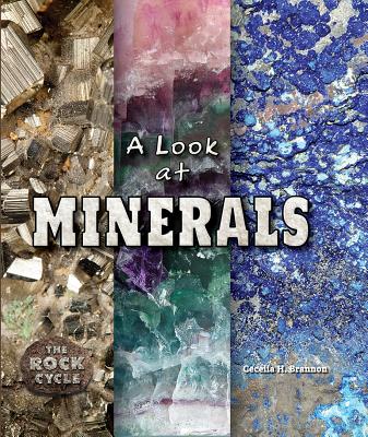 A Look at Minerals (Rock Cycle) By Cecelia H. Brannon Cover Image