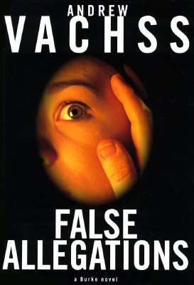 False Allegations Cover