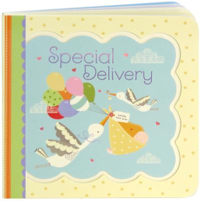 Special Delivery (Little Bird Greetings) By Minnie Birdsong, Nicola Evans (Illustrator) Cover Image