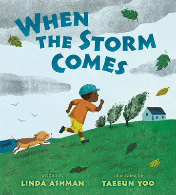 Cover for When the Storm Comes