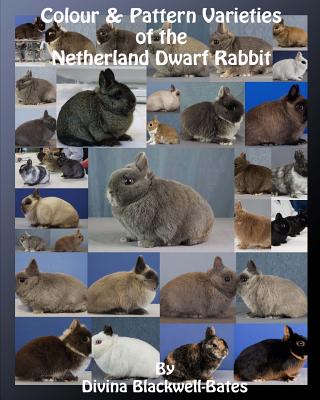Colour & Pattern Varieties of the Netherland Dwarf Rabbit Cover Image