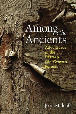 Among the Ancients: Adventures in the Eastern Old-Growth Forests Cover Image