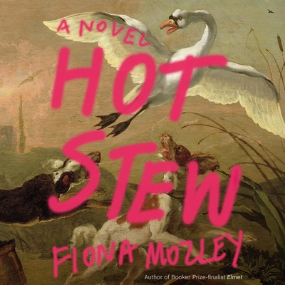 Hot Stew By Fiona Mozley, Nneka Okoye (Read by) Cover Image