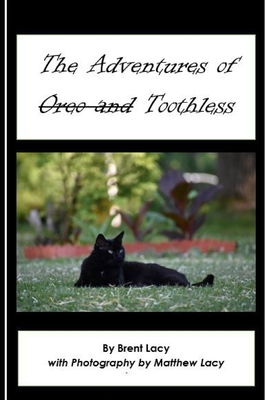 The Adventures of Toothless Cover Image