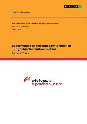3D segmentation and boundary completion using subjective surface method Cover Image
