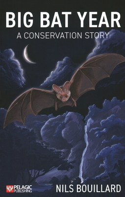 Big Bat Year: A Conservation Story By Nils Bouillard Cover Image