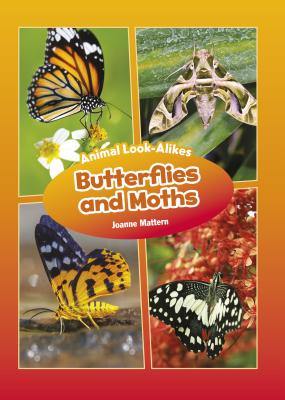 Butterflies and Moths (Core Content Science -- Animal Look-Alikes)