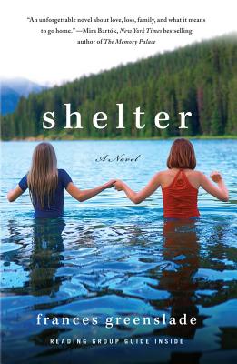 Cover Image for Shelter: A Novel