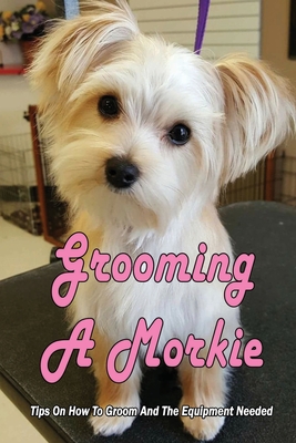 Best brush shop for morkie