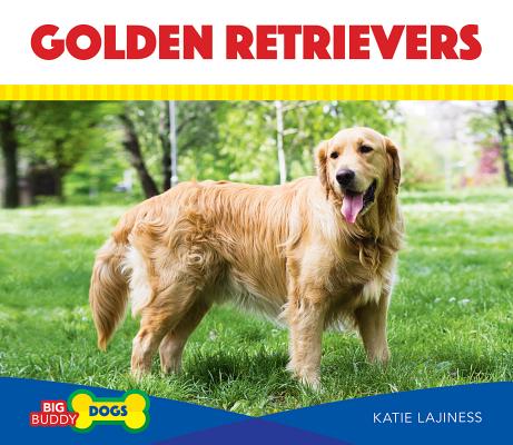 Golden retriever outlet big dogs