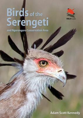 Birds of the Serengeti: And Ngorongoro Conservation Area Cover Image