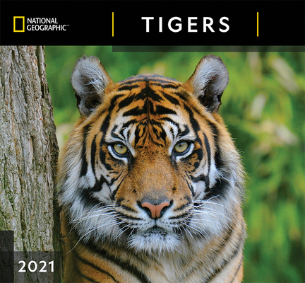 Cal 2021- National Geographic Tigers Wall