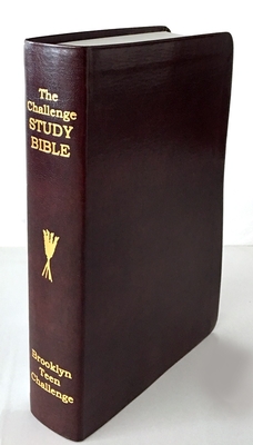 CEV Challenge Study Bible-Flexi Cover Cover Image