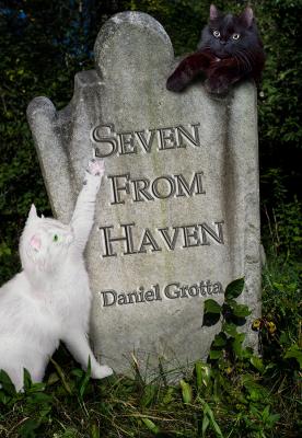 Cover for Seven from Haven