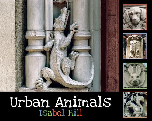 Urban Animals Cover Image