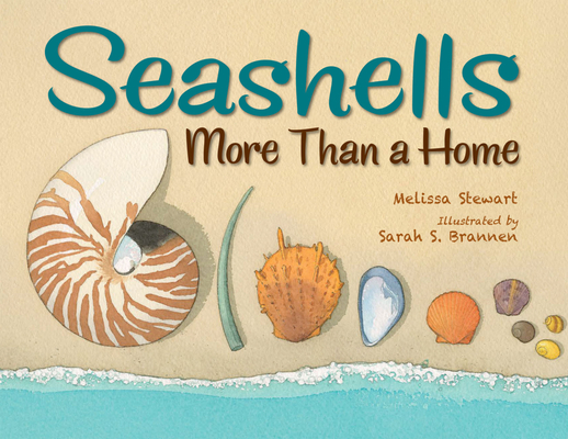 Seashells: More Than a Home By Melissa Stewart, Sarah S. Brannen (Illustrator) Cover Image