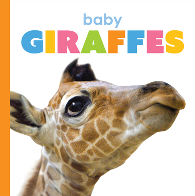 Baby Giraffes (Starting Out)