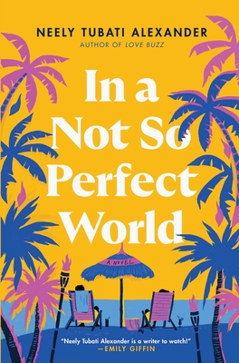 In a Not So Perfect World: A Novel
