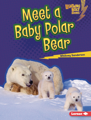 Meet a Baby Polar Bear (Lightning Bolt Books (R) -- Baby North American Animals)