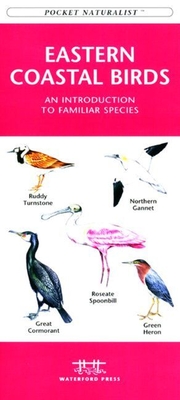 Georgia Birds: An Introduction to Familiar Species (Pocket Naturalist Guide)