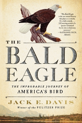 The Bald Eagle: The Improbable Journey of  America's Bird By Jack E. Davis Cover Image