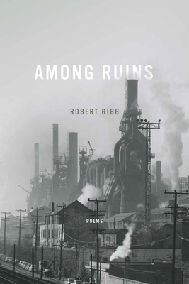 Among Ruins (Ernest Sandeen Prize for Poetry)
