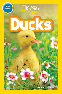 National Geographic Readers: Ducks (Prereader) Cover Image