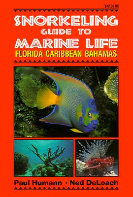 Snorkeling Guide to Marine Life Florida, Caribbean, Bahamas Cover Image