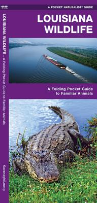 Louisiana Wildlife: A Folding Pocket Guide to Familiar Animals By James Kavanagh, Waterford Press, Leung Raymond (Illustrator) Cover Image